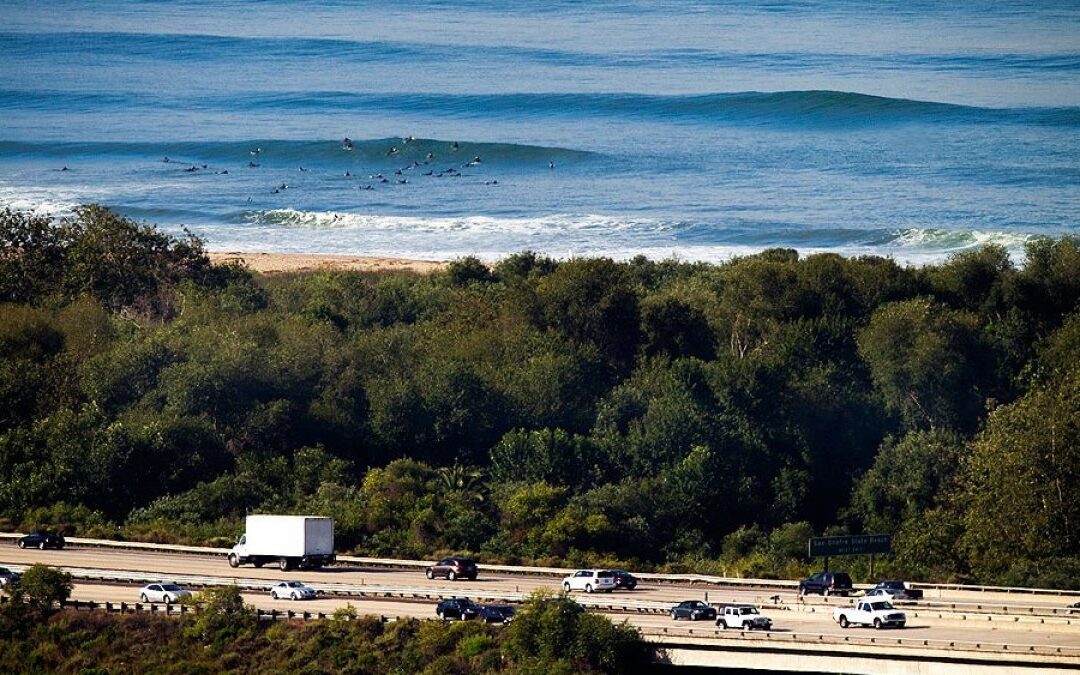 lowers_2011_ellis_01_re