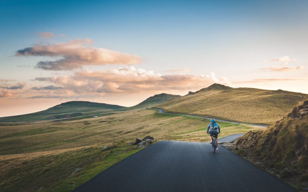 Locally-david-marcu-VfUN94cUy4o-unsplash