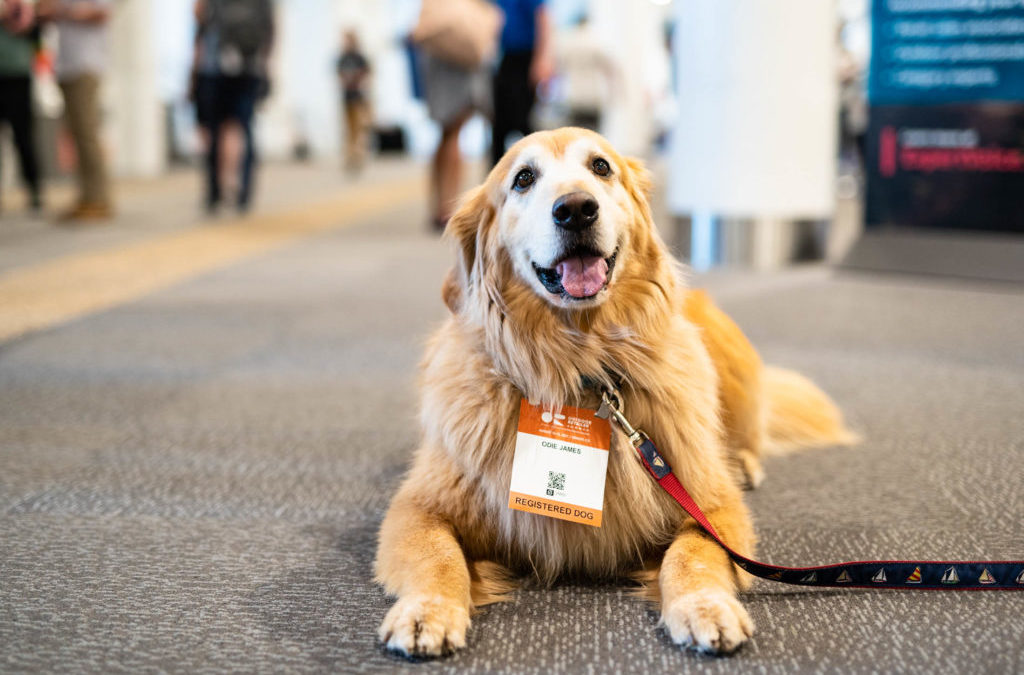 “Outdoor Retailer Releases Education Schedule and Floor Plan For Snow Show” by Outdoor Retailer via Shop Eat Surf (plus free hotel room scholarship opportunity for BRA Retail Members)