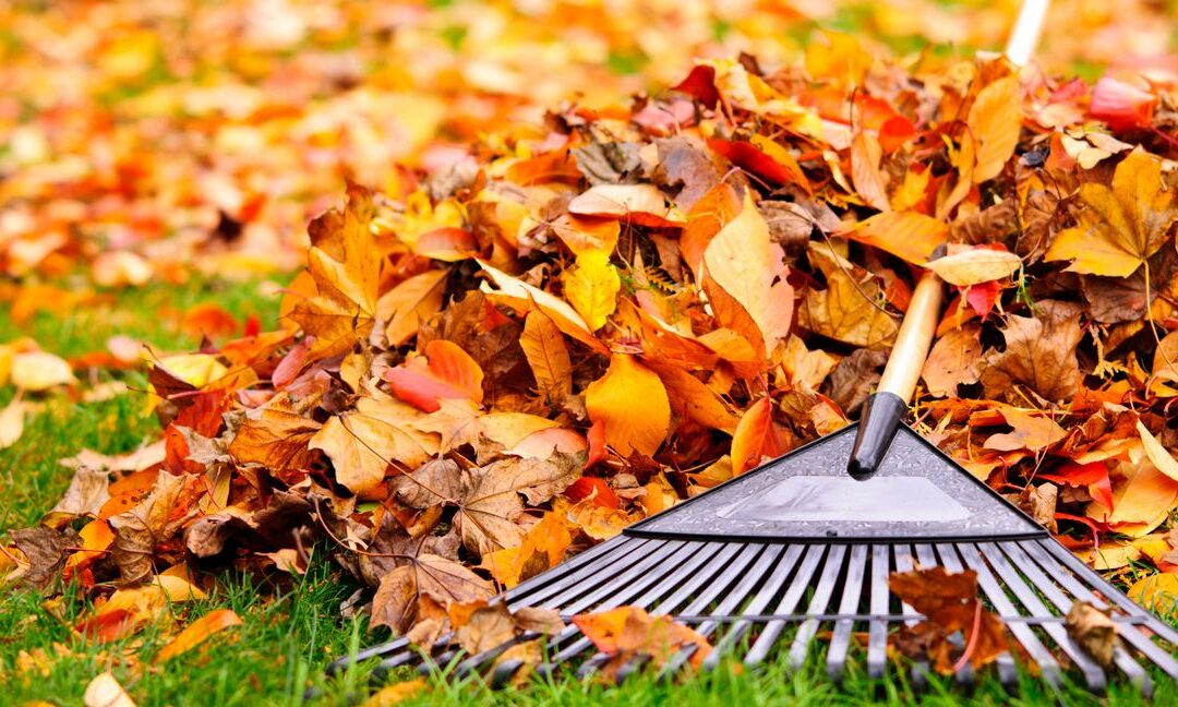 “What September’s retail sales mean for the holidays” by Daphne Howland via Retail Dive