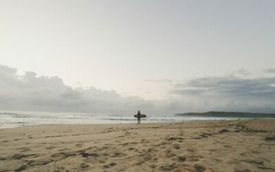 “What We Gain From Getting Skunked” by Ella Boyd via The Inertia