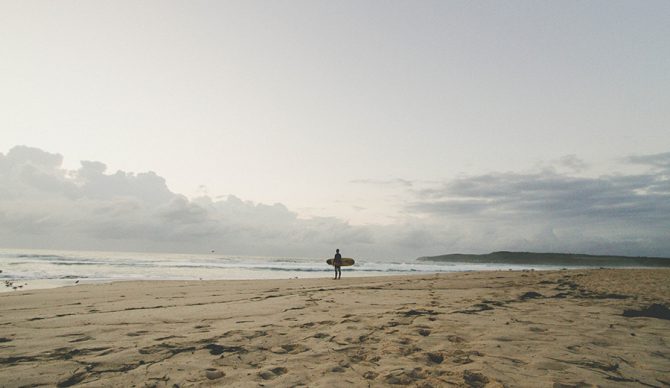 “What We Gain From Getting Skunked” by Ella Boyd via The Inertia