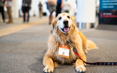“Outdoor Retailer Education Schedule plus invitation to BRA Retailer Gathering at this week’s Snow Show” by Outdoor Retailer and BRA